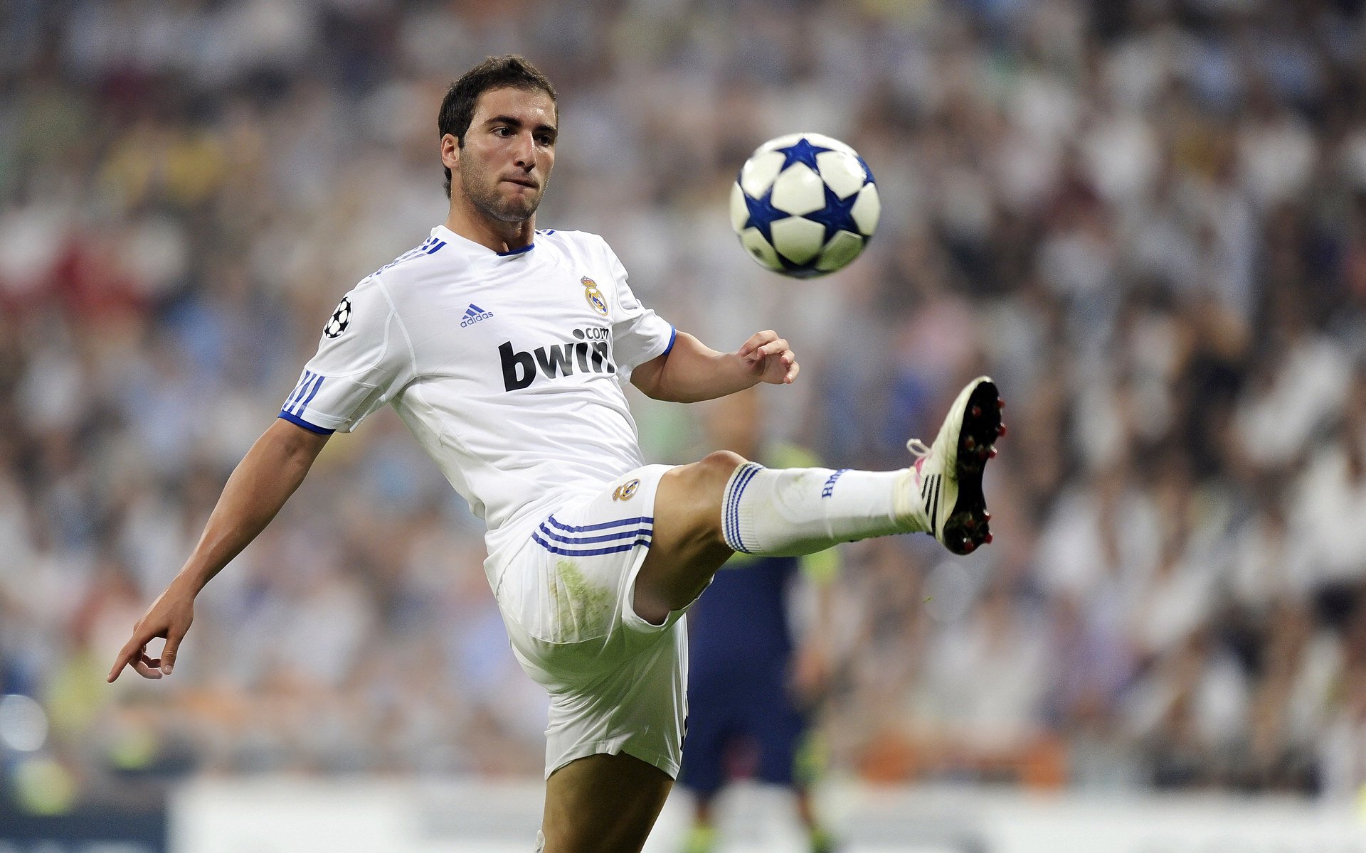 亚洲杯国足爆冷 球迷呼吁战术创新,亚洲杯,足球